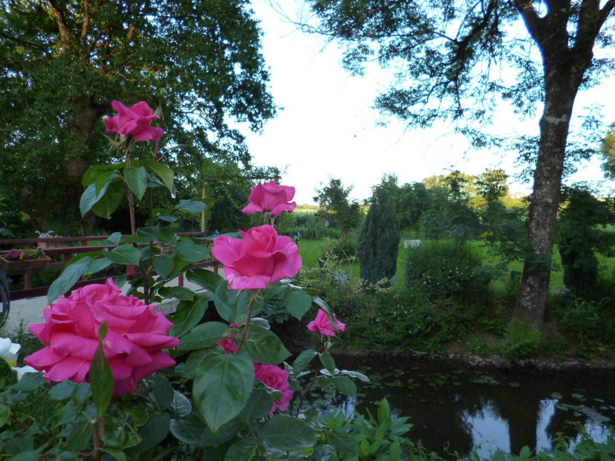 Lassy Le Moulin Du Bignon Bed & Breakfast エクステリア 写真