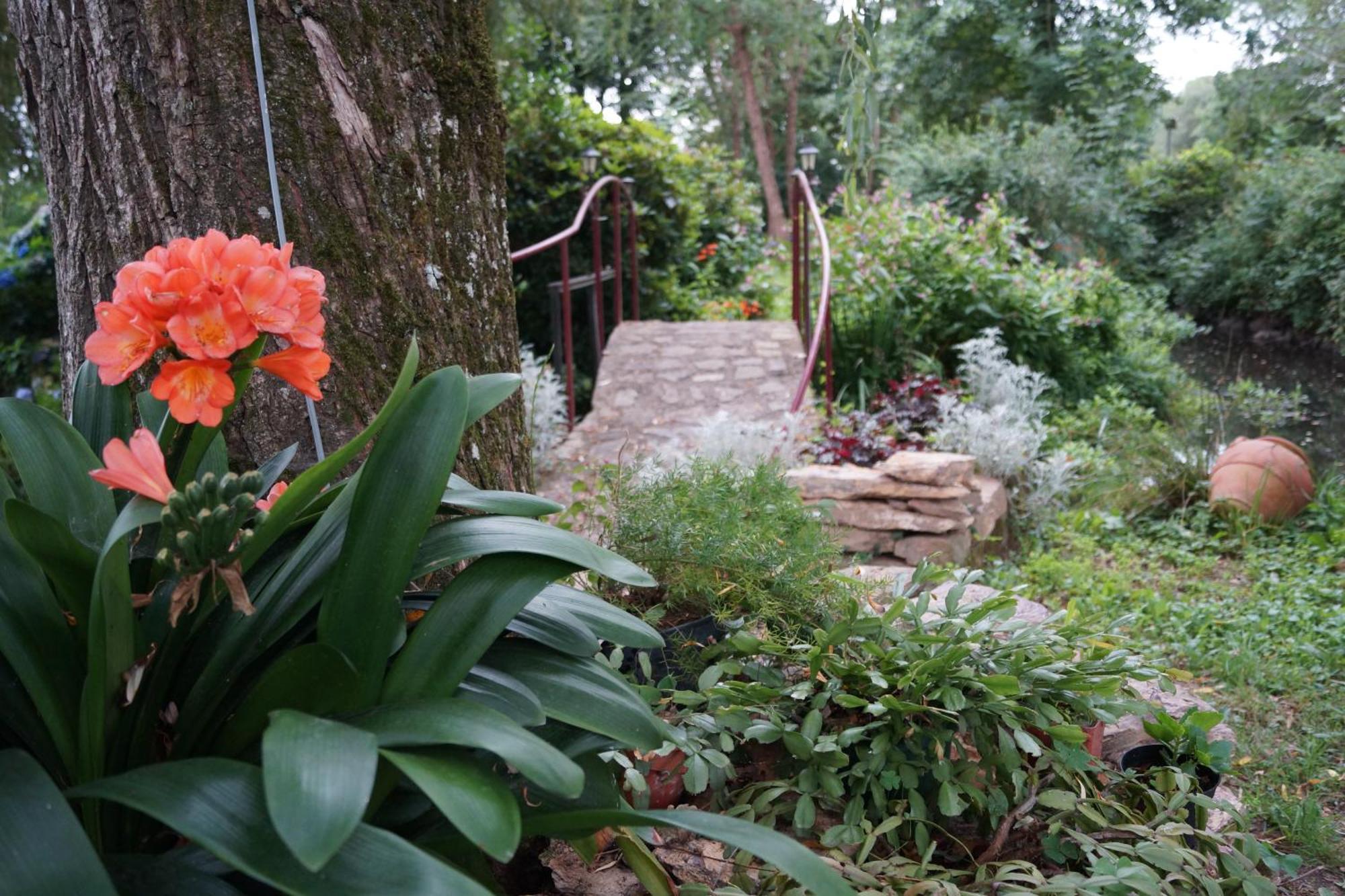 Lassy Le Moulin Du Bignon Bed & Breakfast エクステリア 写真
