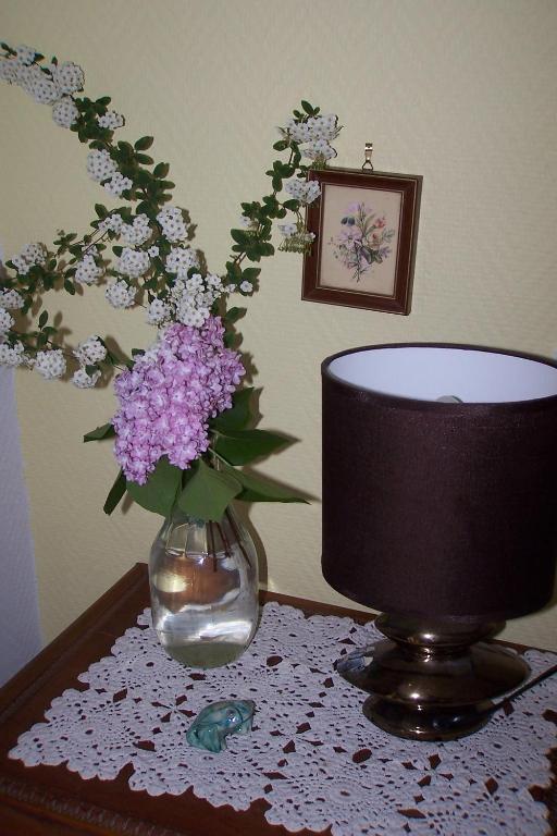 Lassy Le Moulin Du Bignon Bed & Breakfast 部屋 写真