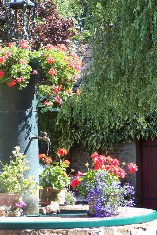 Lassy Le Moulin Du Bignon Bed & Breakfast エクステリア 写真