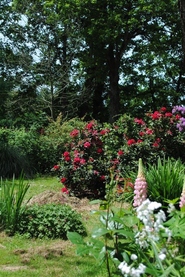 Lassy Le Moulin Du Bignon Bed & Breakfast エクステリア 写真
