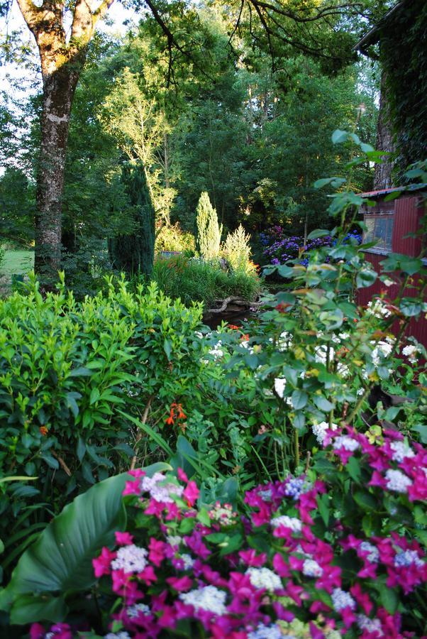Lassy Le Moulin Du Bignon Bed & Breakfast エクステリア 写真